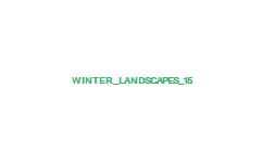 Western New York Winter Landscape photo