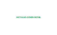 Custom Designed See examples here metallic cover wedding album detail 
